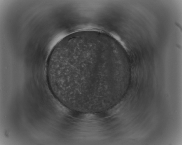 X0000091341463200708311447