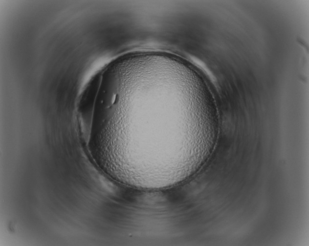 X0000091341464200708311447