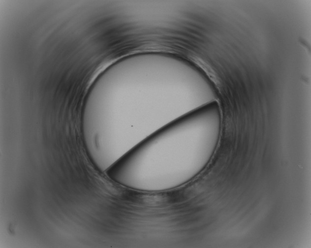 X0000091341465200708311446