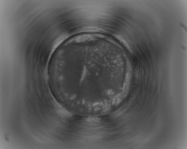 X0000091341466200708311446