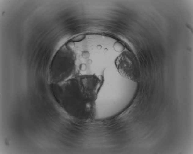 X0000091341467200708311446