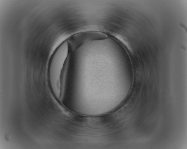 X0000091341469200708311446