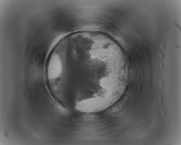 X0000091341470200708311446