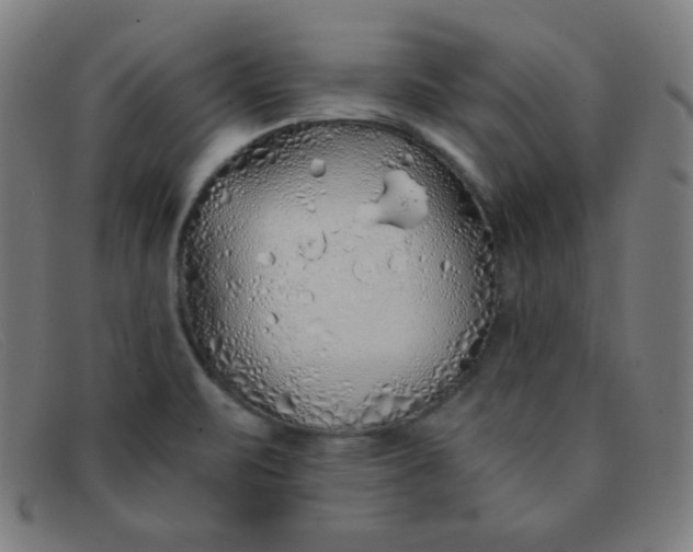 X0000091341471200708311446