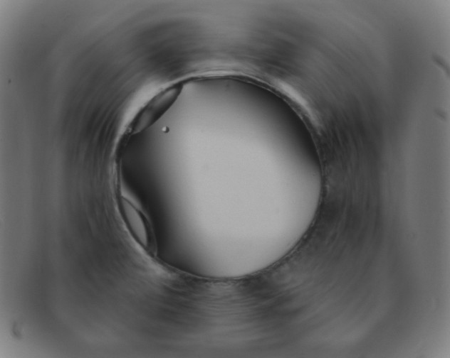 X0000091341472200708311446