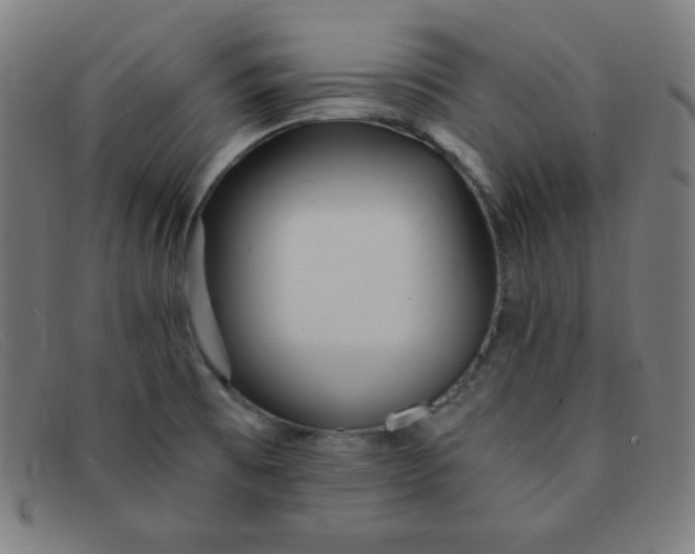 X0000091341473200708311446