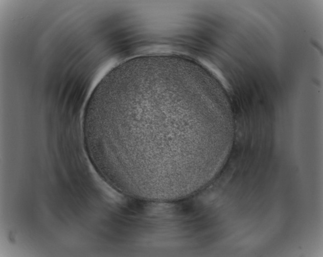 X0000091341475200708311446