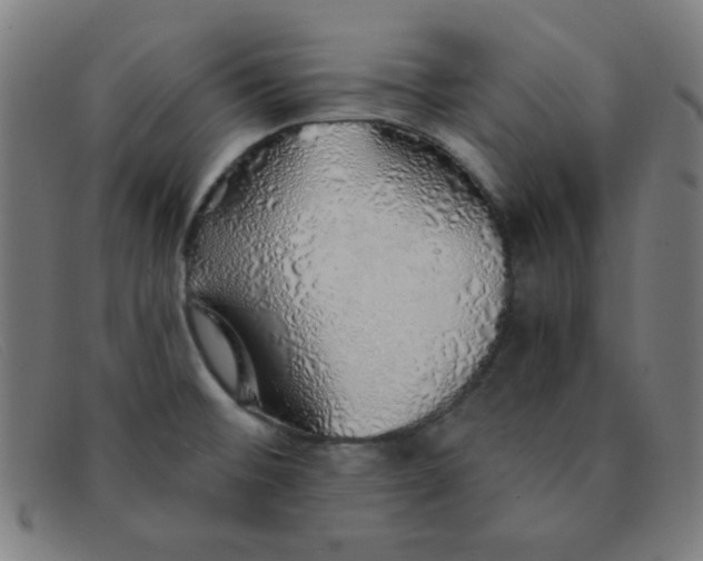 X0000091341476200708311446