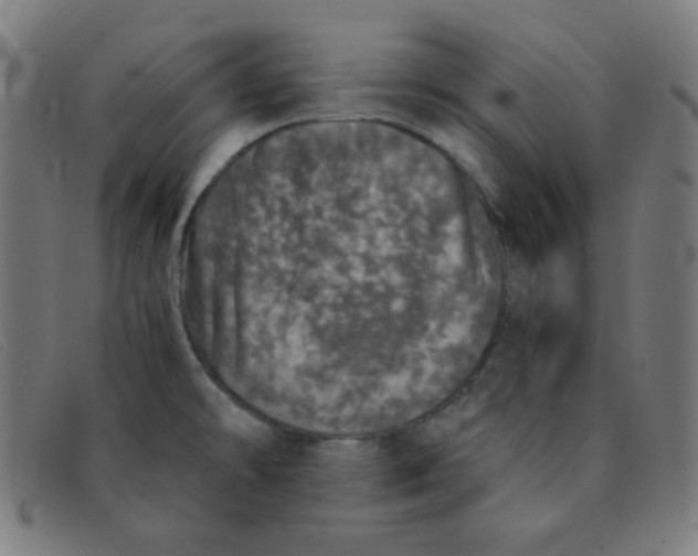 X0000091341478200708311446