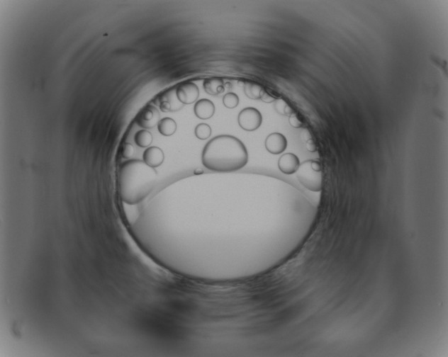 X0000091341479200708311446