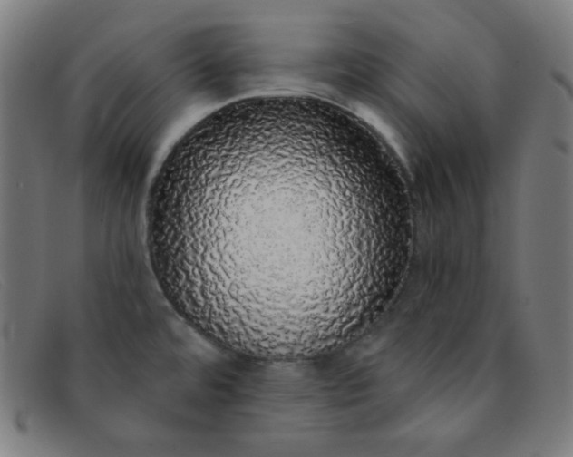 X0000091341480200708311446