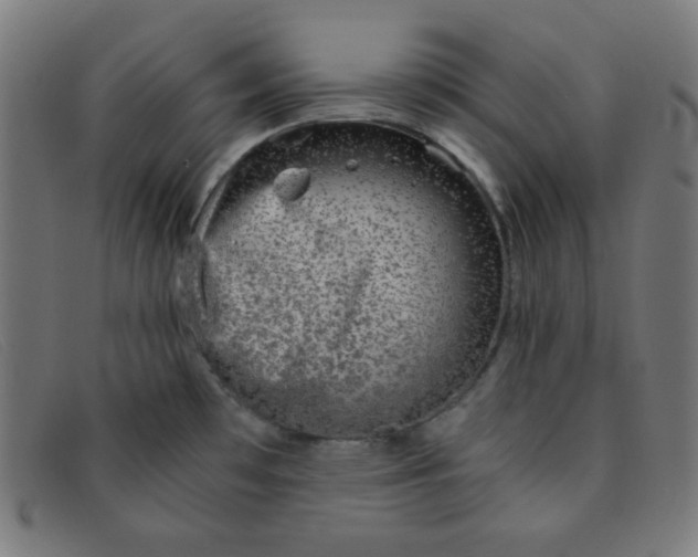 X0000091341481200708311446