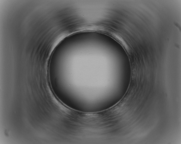 X0000091341483200708311446