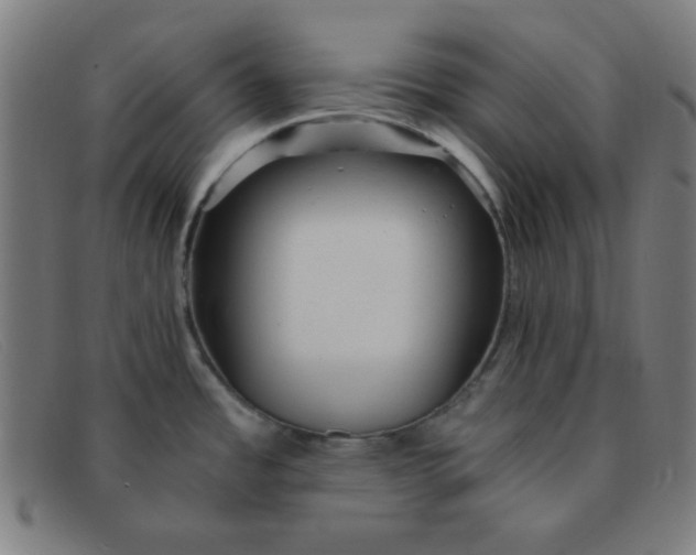 X0000091341485200708311446