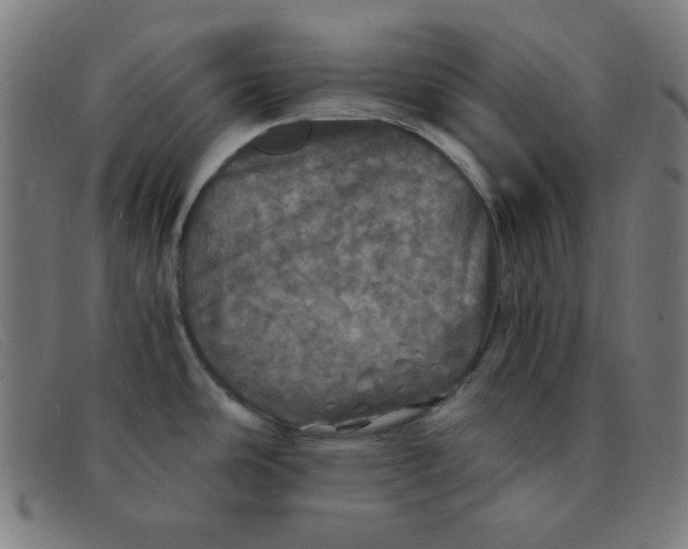 X0000091341486200708311446