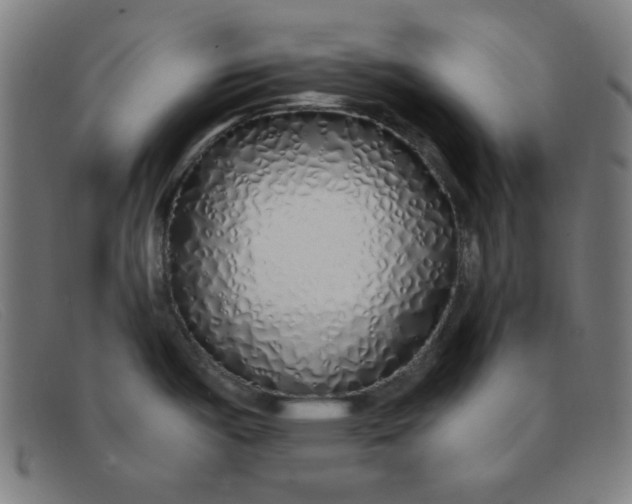 X0000091341487200708311446