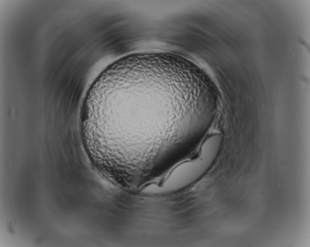 X0000091341488200708311446