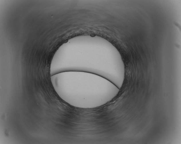 X0000091341490200708311446