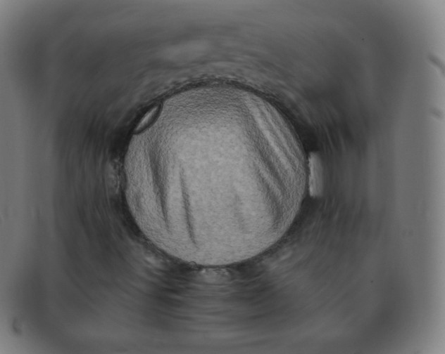 X0000091341491200708311446