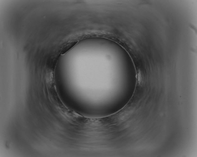 X0000091341492200708311446