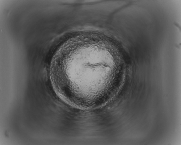 X0000091341493200708311446