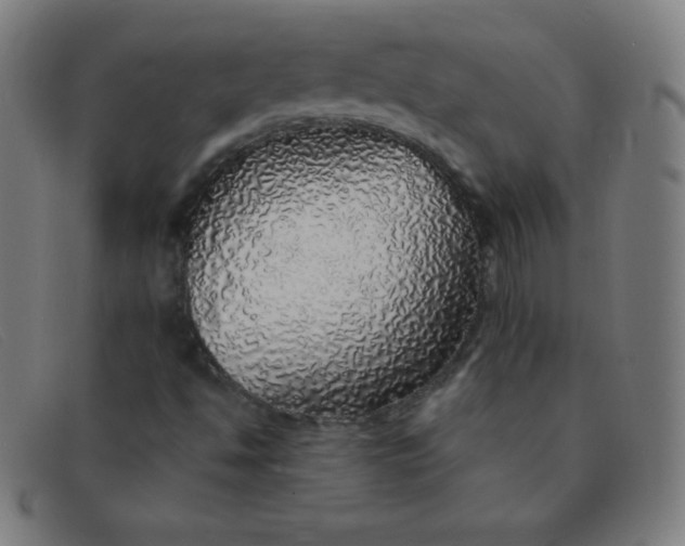 X0000091341494200708311446