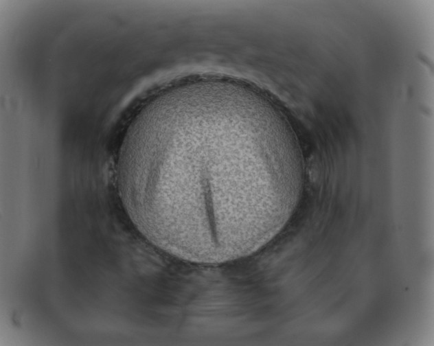 X0000091341495200708311446