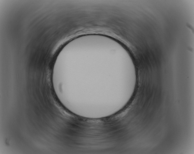 X0000091341498200708311446