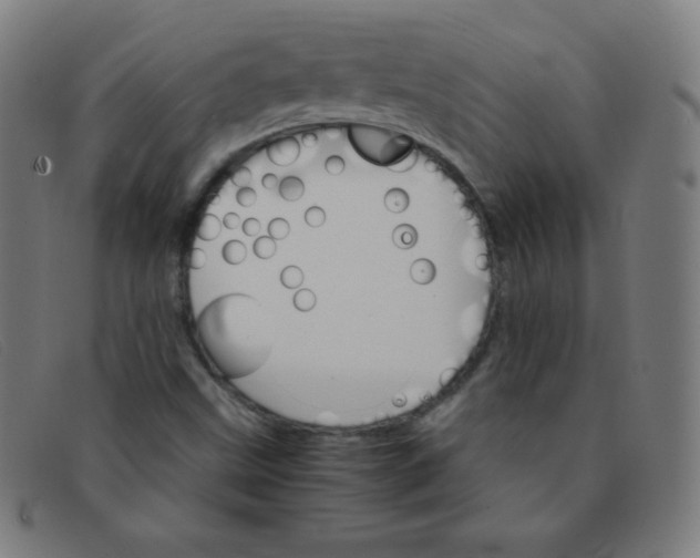 X0000091341499200708311446