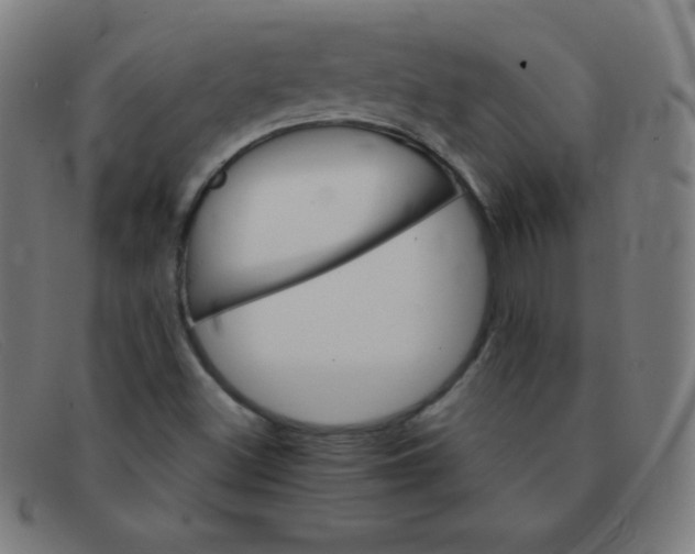 X0000091341500200708311446