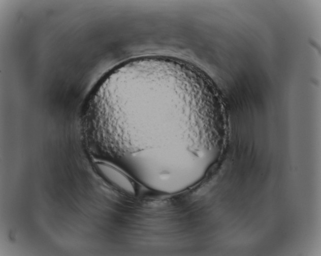 X0000091341501200708311446