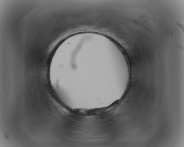 X0000091341502200708311446