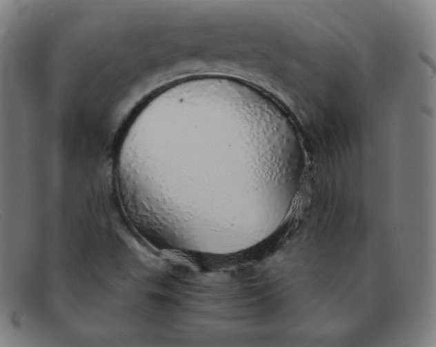 X0000091341503200708311446