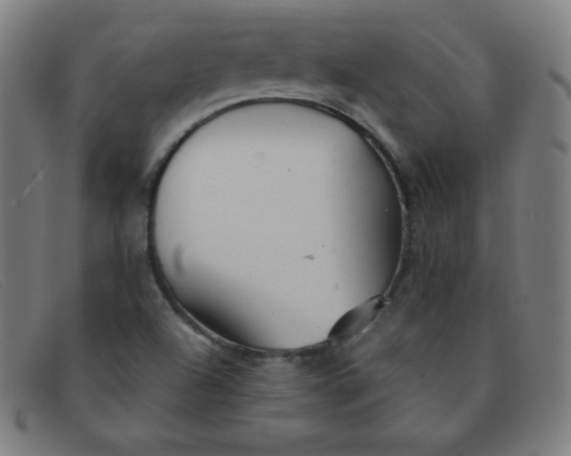 X0000091341504200708311446