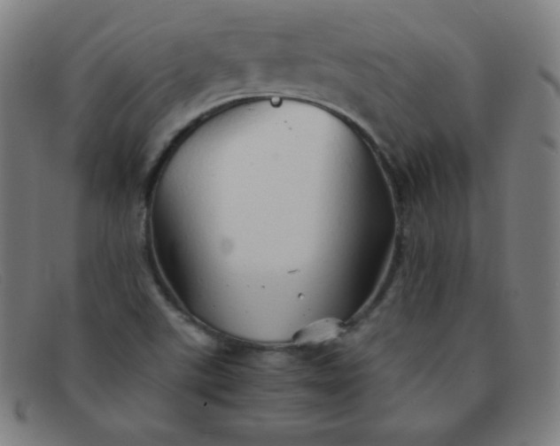 X0000091341507200708311446