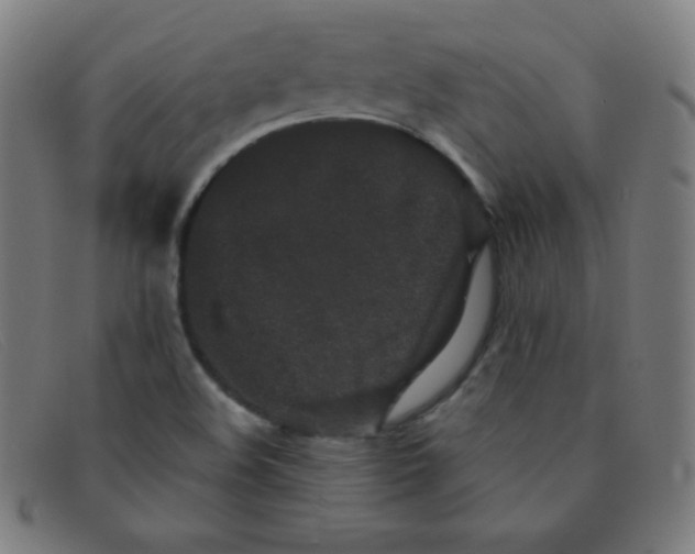 X0000091341508200708311446