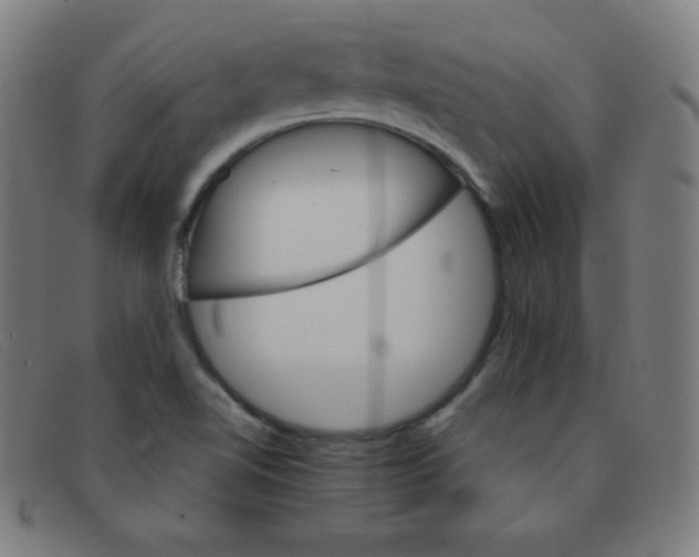 X0000091341510200708311446