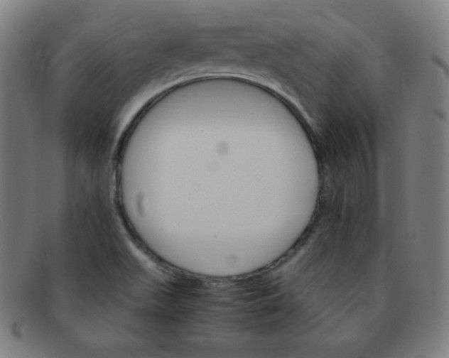 X0000091341511200708311446