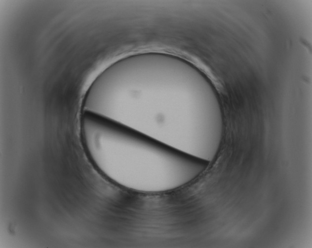 X0000091341512200708311446