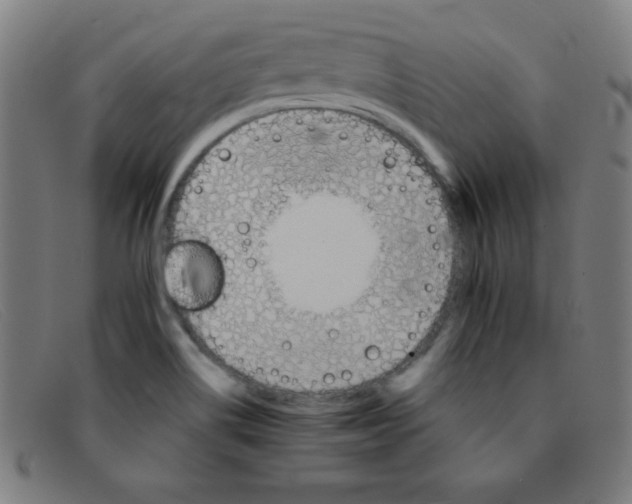 X0000091341514200708311446