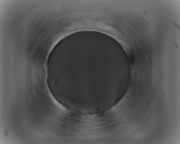 X0000091341515200708311446