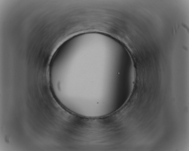 X0000091341516200708311446