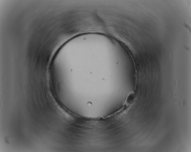 X0000091341517200708311446