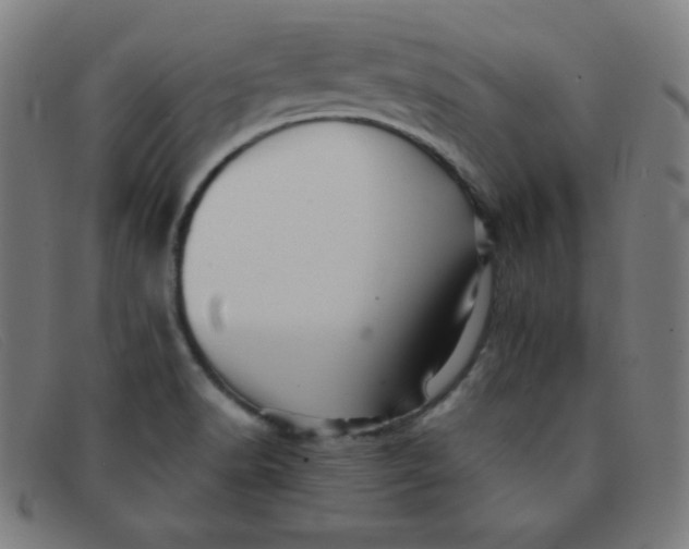 X0000091341518200708311446