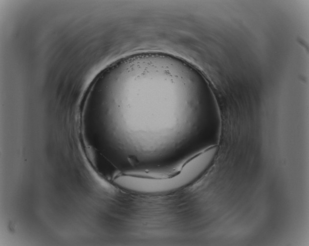 X0000091341519200708311446