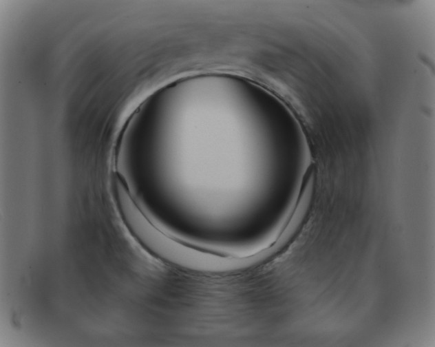 X0000091341520200708311446