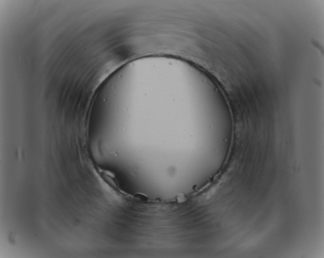 X0000091341521200708311446