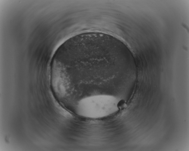 X0000091341522200708311446