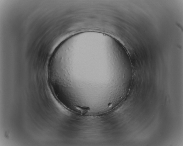 X0000091341523200708311446