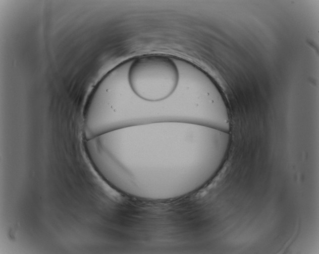 X0000091341525200708311446